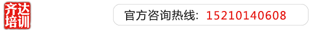 草的爽网站齐达艺考文化课-艺术生文化课,艺术类文化课,艺考生文化课logo